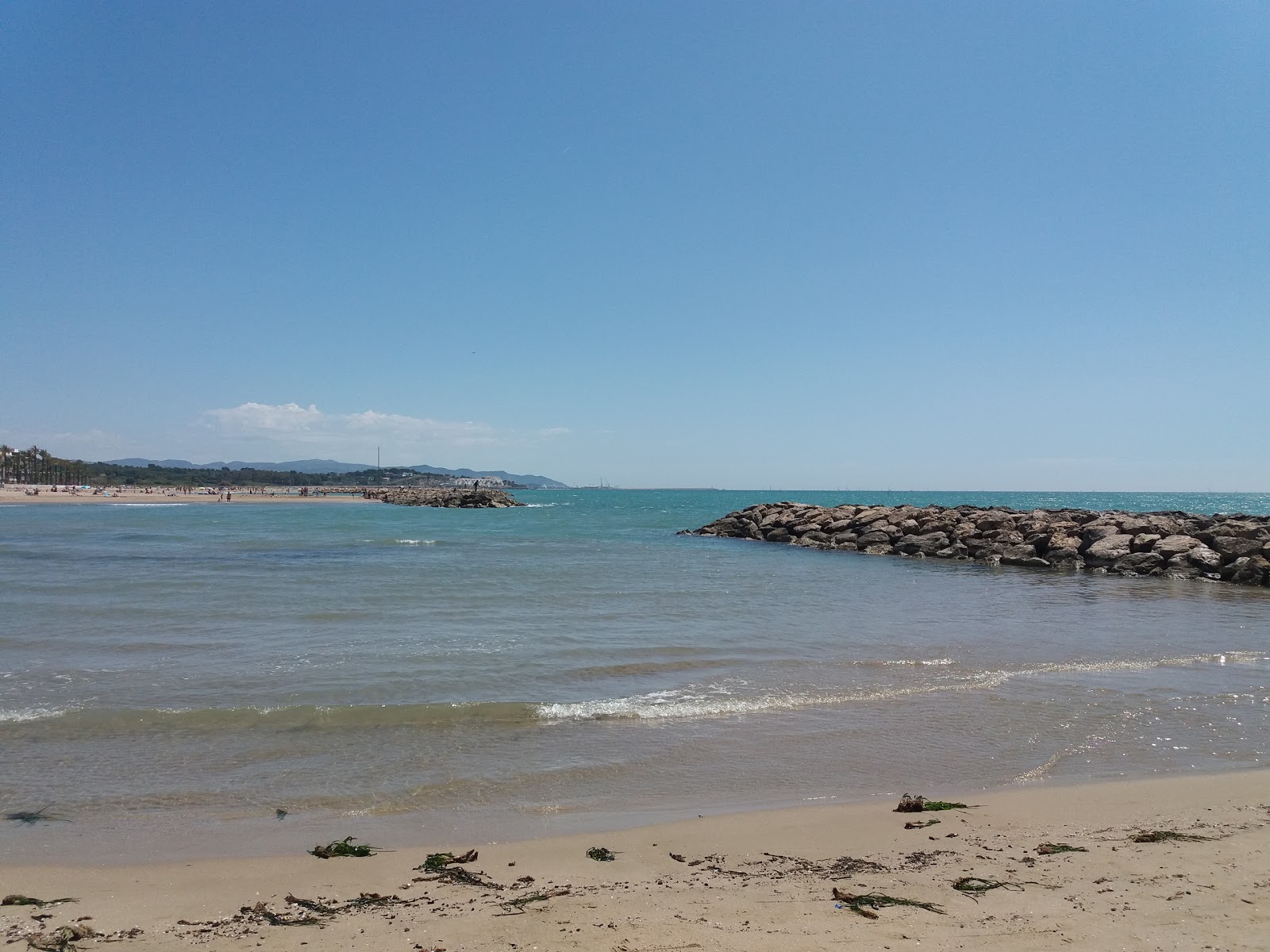 Foto av Platja Ibersol med grönt vatten yta