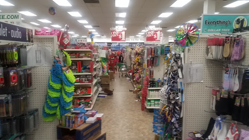 Dollar Store «Dollar Tree», reviews and photos, 10776 Sudley Manor Dr, Manassas, VA 20109, USA
