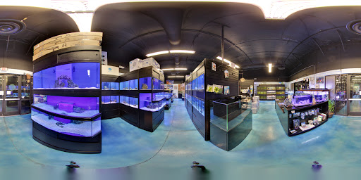 Tropical Fish Store «Pisces Reef Fish Emporium, LLC», reviews and photos, 9326 W Sahara Ave, Las Vegas, NV 89117, USA