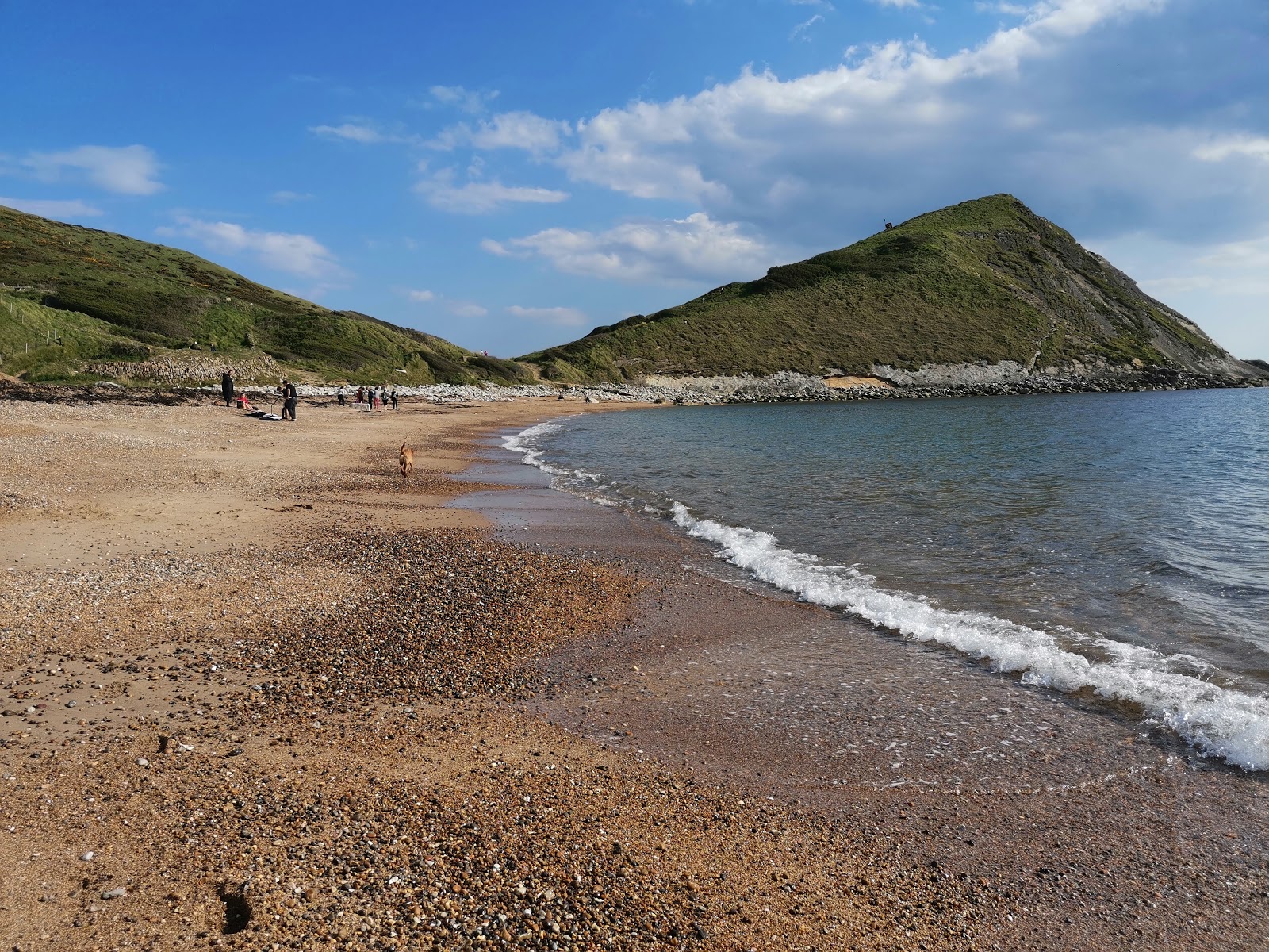 Worbarrow beach'in fotoğrafı vahşi alan