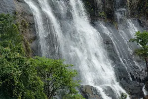 Vihangam Water Falls, Asniye image