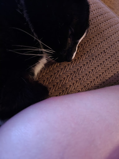 Pet Supply Store «Petco Animal Supplies», reviews and photos, 2140 E Blvd St, Kokomo, IN 46902, USA