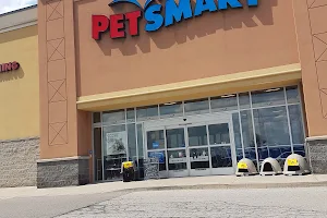 PetSmart image