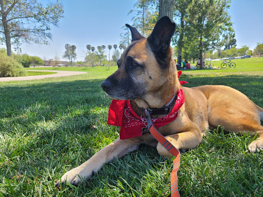 Park «Ken Malloy Harbor Regional Park», reviews and photos, 25820 S Vermont Ave, Harbor City, CA 90710, USA