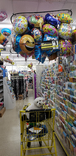 Home Goods Store «Dollar General», reviews and photos, 630 Wise Rd, Hanover Park, IL 60133, USA