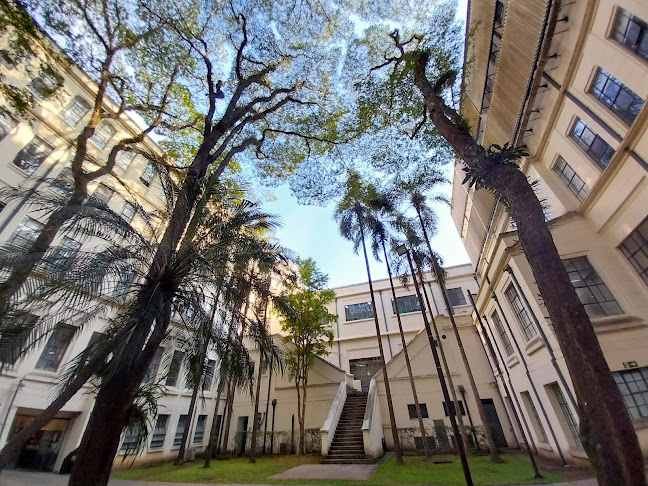Faculdade de Medicina da Universidade de São Paulo (FMUSP) - Universidade