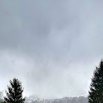 Photo n°2 de l'avis de Alice.i fait le 22/04/2024 à 11:50 sur le  Chalet Ristorante Piereni à Tonadico