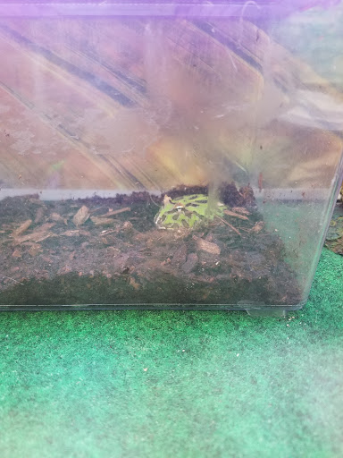 Tropical Fish Store «Petland Discounts - Hylan», reviews and photos, 2712 Hylan Blvd, Staten Island, NY 10306, USA