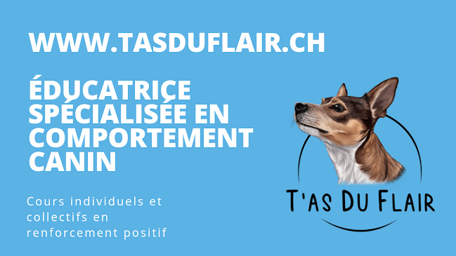 Rezensionen über T'as Du Flair Éducation et comportement canin in Val-de-Travers NE - Hundeschule