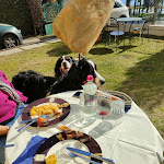 Photo n°9 de l'avis de Tiziano.e fait le 12/02/2023 à 16:35 sur le  Hotel Ristorante Lepanto à Salò