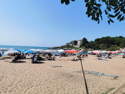 Mugada Sahili'in fotoğrafı imkanlar alanı