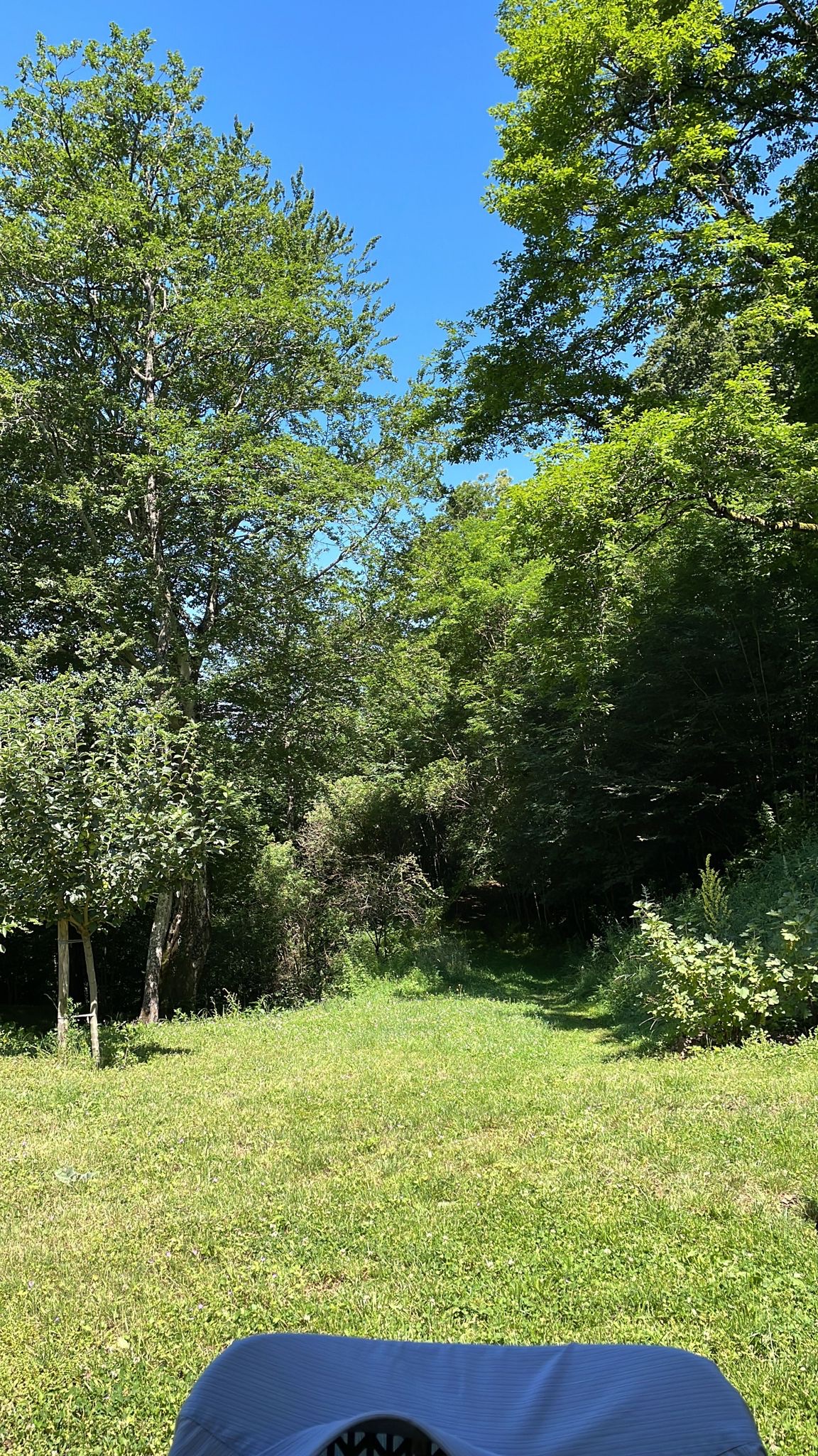 Photo n° 7 de l'avis de Audrey.i fait le 29/06/2023 à 19:34