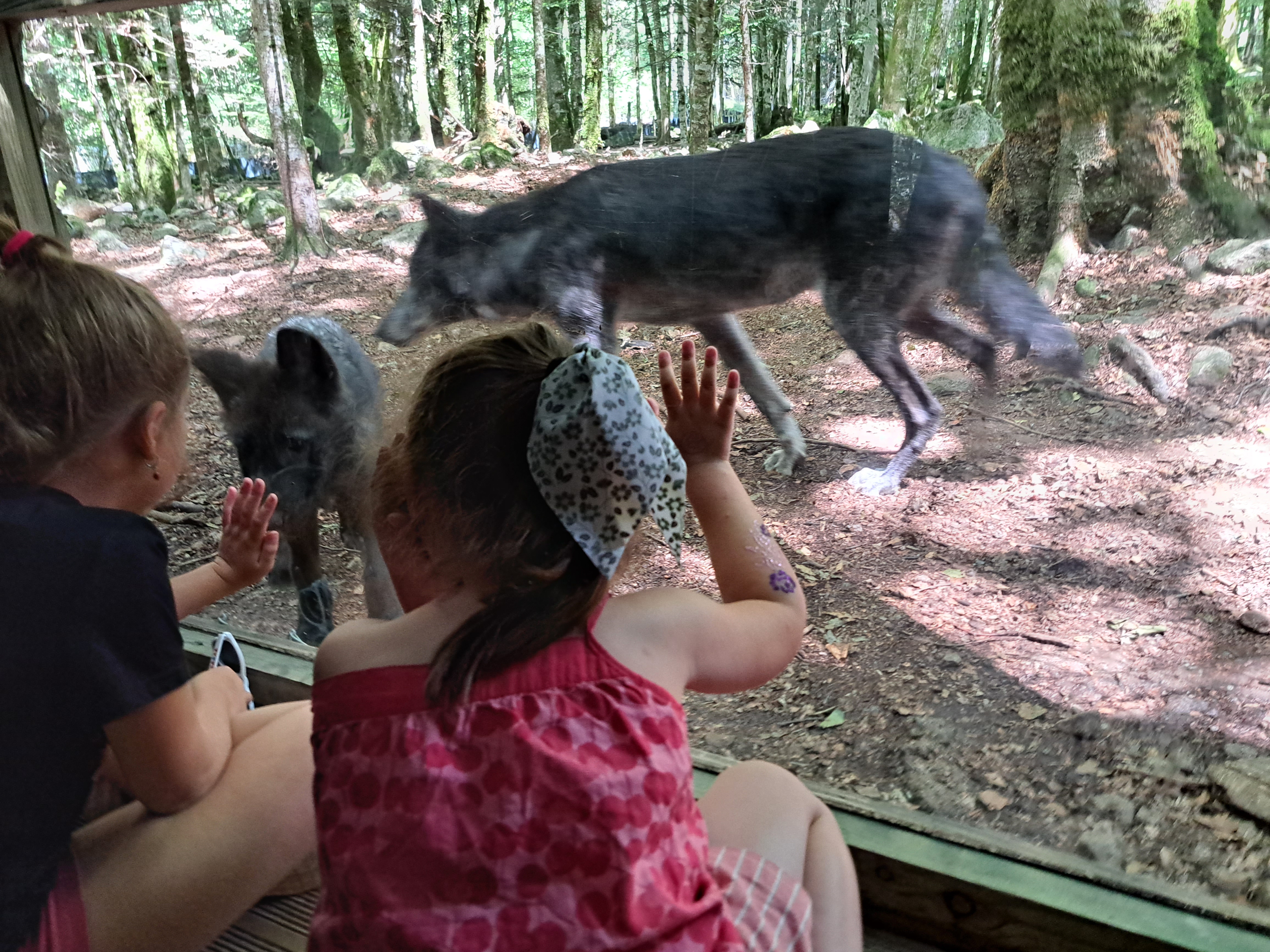 Photo n° 3 de l'avis de A..b fait le 17/08/2023 à 21:57