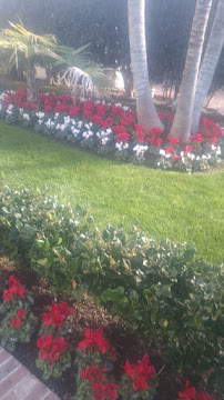 Angel,gardening Service - Photo 9 - Car repair in , Costa Mesa