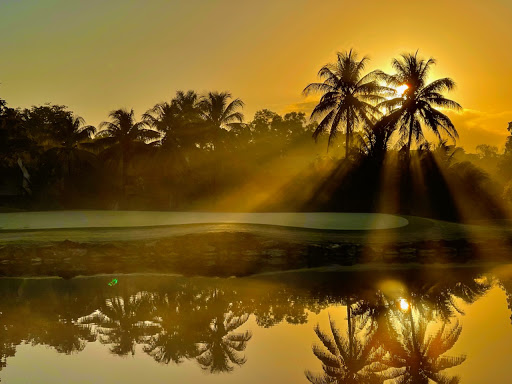 Golf Course «Jacaranda Golf Club», reviews and photos, 9200 W Broward Blvd, Plantation, FL 33324, USA