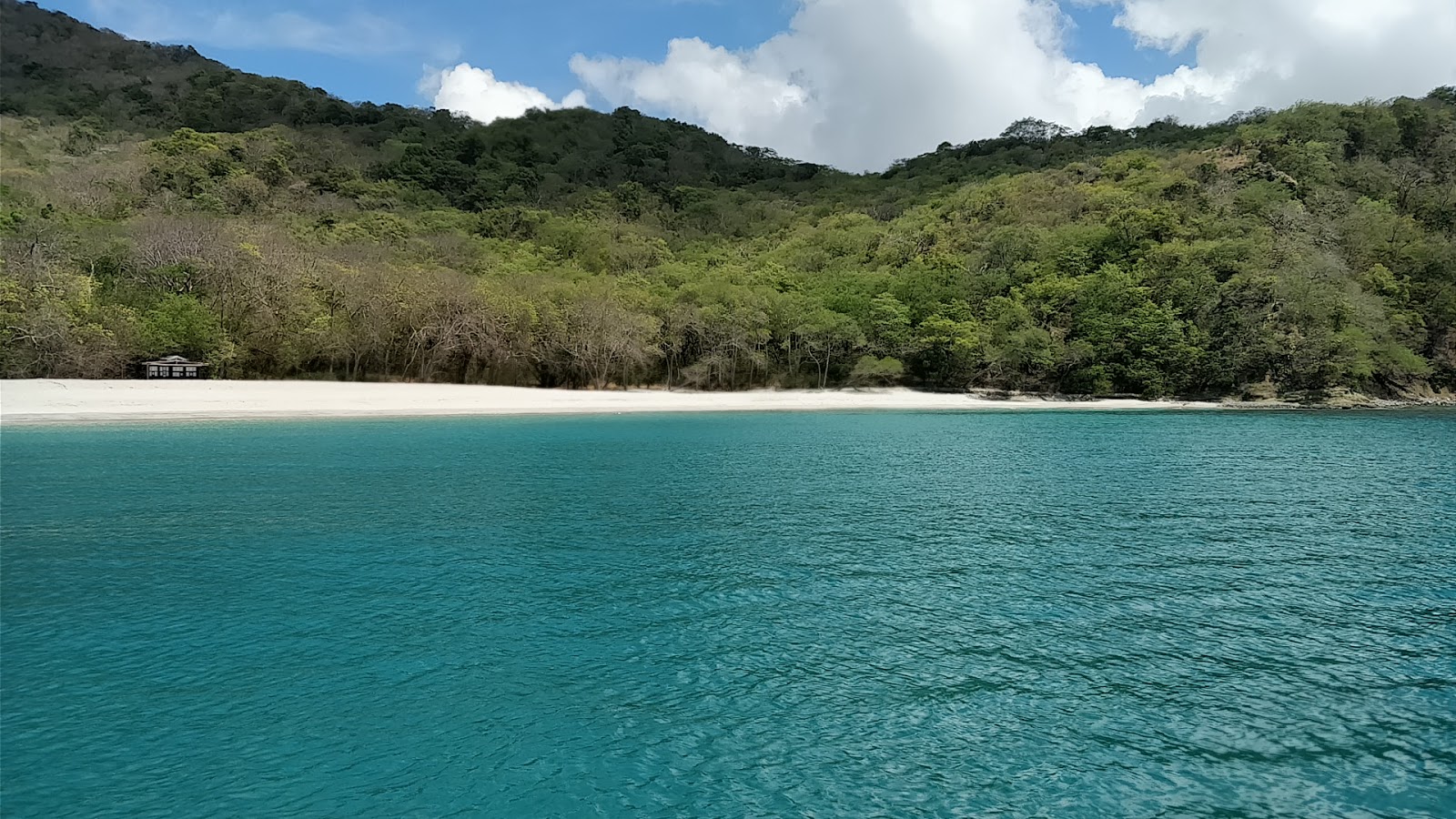 Anse La Roche Bay beach的照片 具有非常干净级别的清洁度