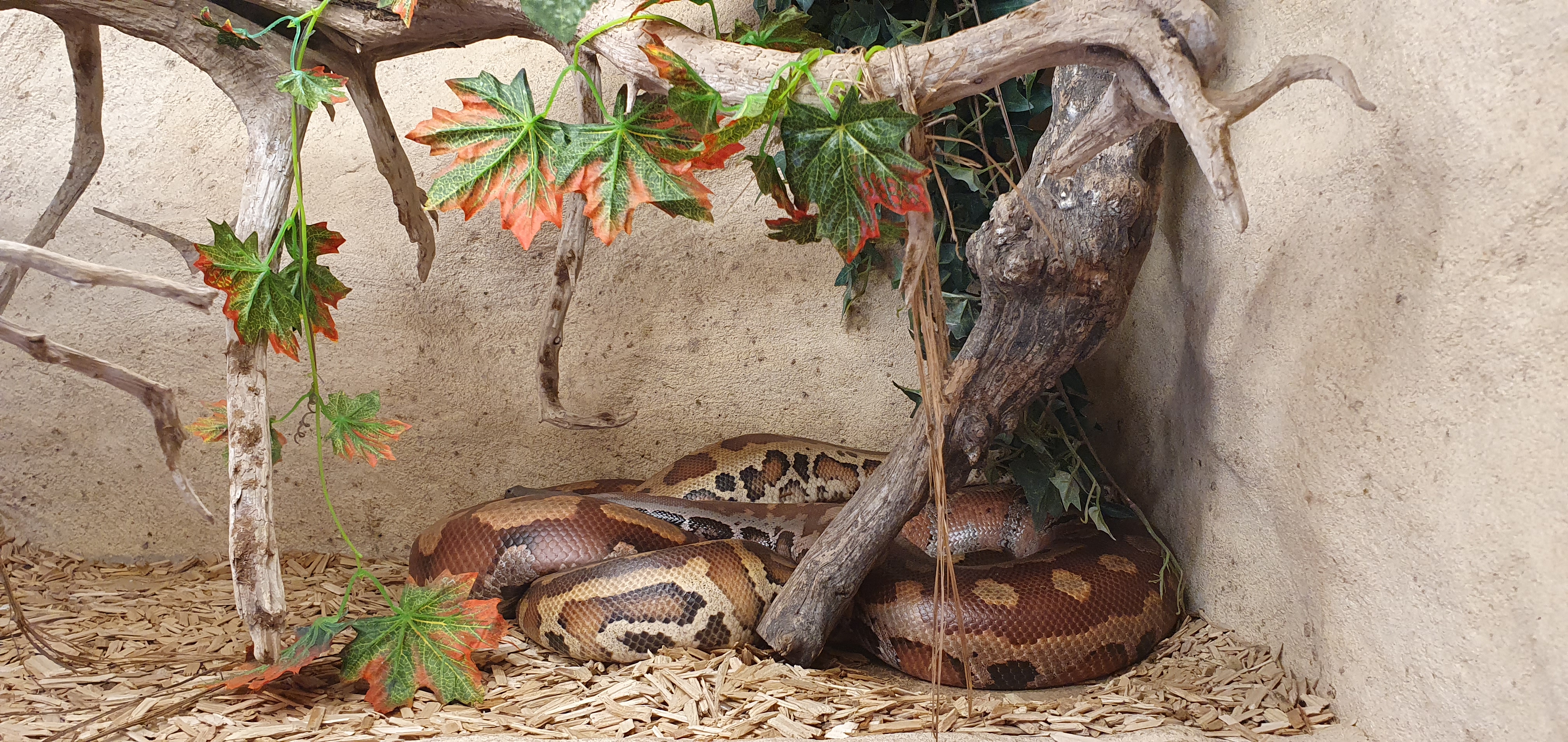 Photo n° 21 de l'avis de Laëtitia.E fait le 25/07/2020 à 00:11