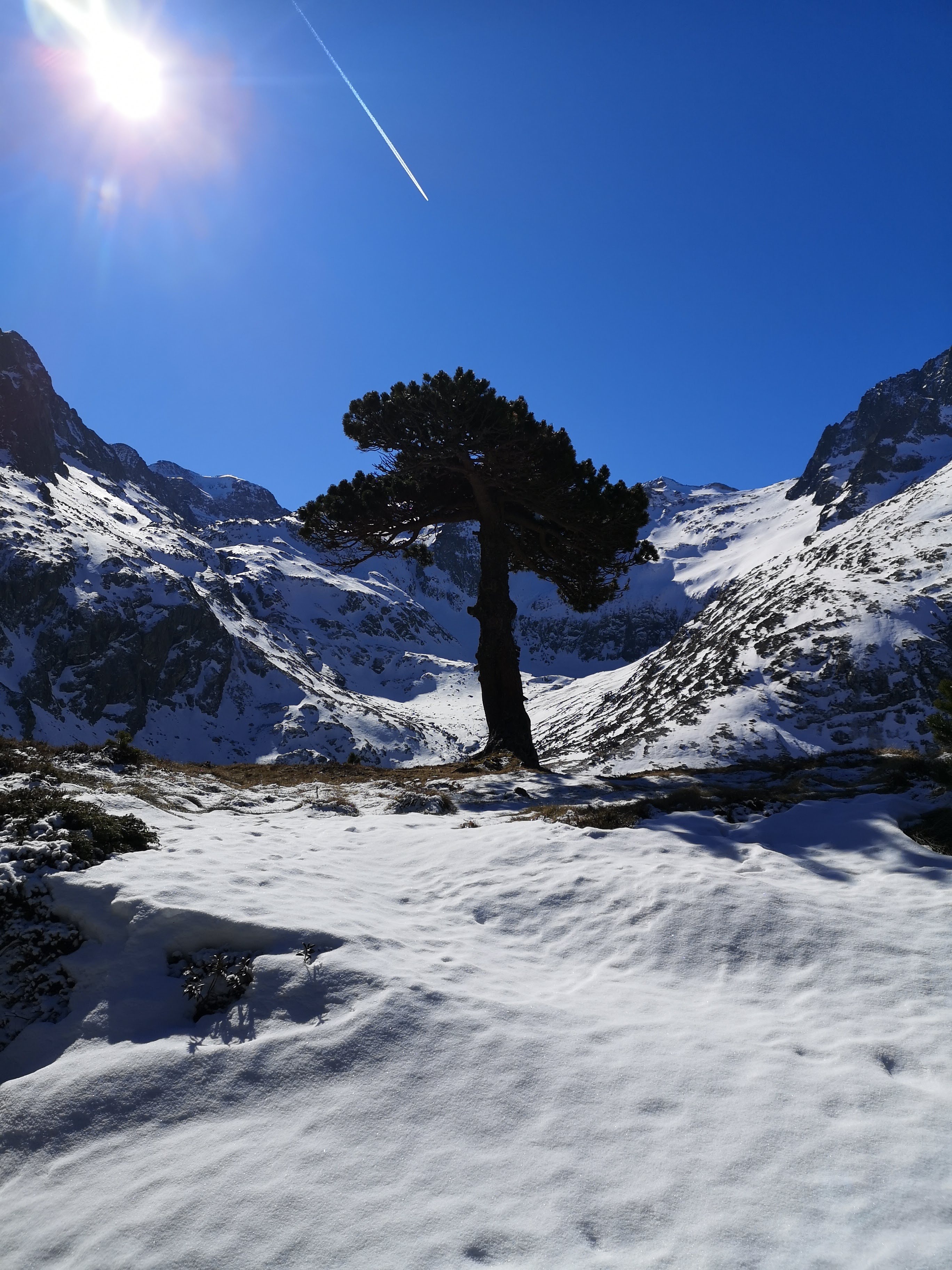 Photo n° 2 de l'avis de Mat.. fait le 21/02/2020 à 15:14