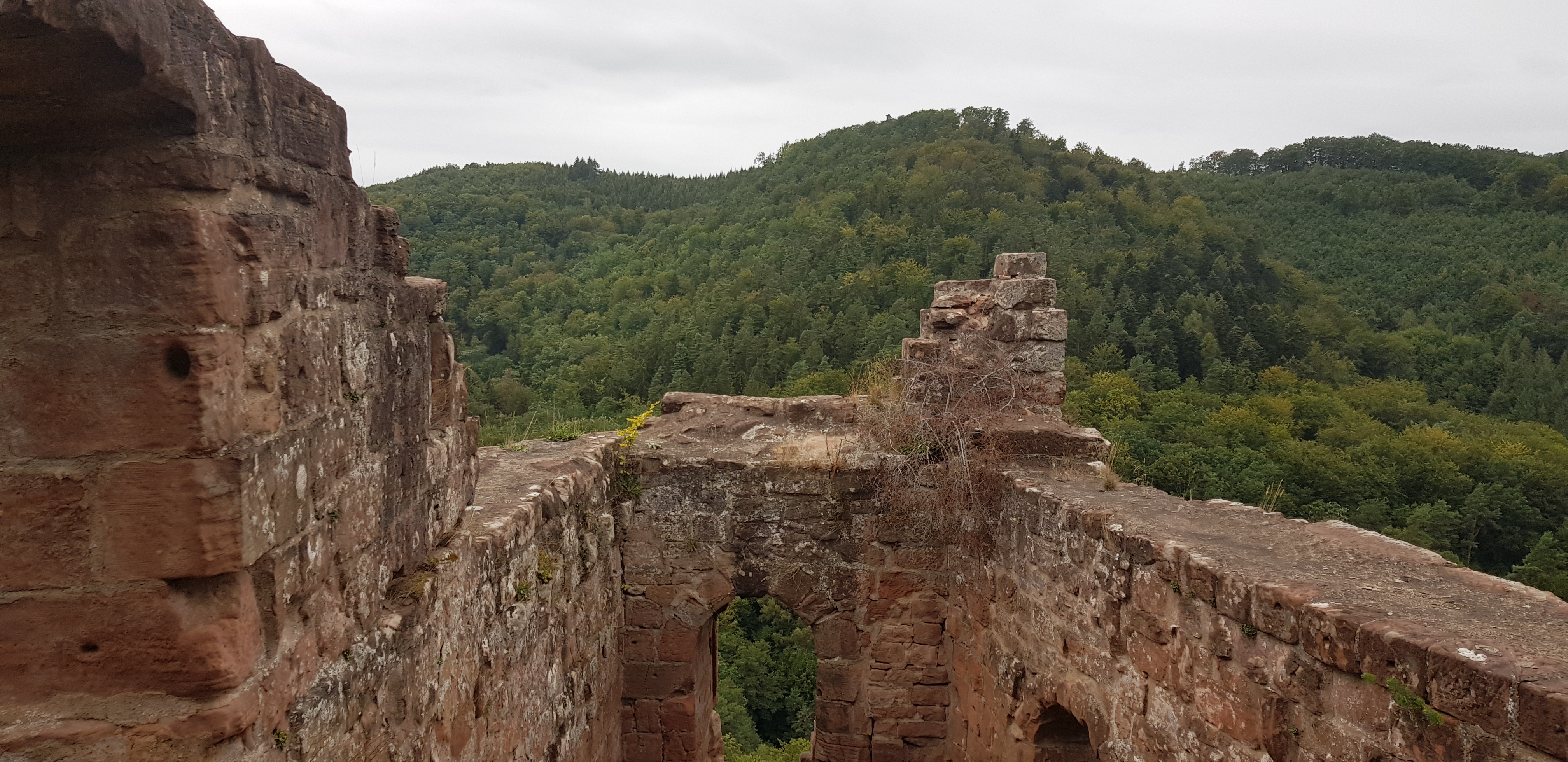 Photo n° 41 de l'avis de David.a fait le 28/08/2018 à 23:26