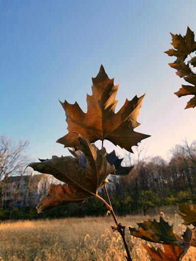 Nature Preserve «Hoover Forest Preserve», reviews and photos, 11285 W Fox Rd, Yorkville, IL 60560, USA