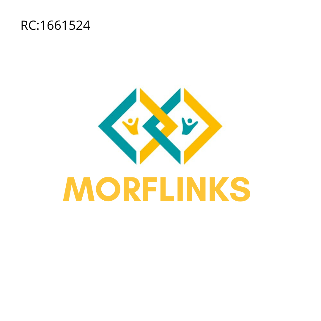 Morflinks Digital Marketing and Web development Agency
