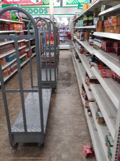 Dollar Store «Dollar Tree», reviews and photos, 9221 N 56th St, Temple Terrace, FL 33617, USA