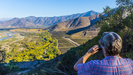 Maipo Valley Wine Tours