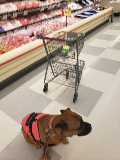 Supermarket «Stop & Shop», reviews and photos, 56 Shank Painter Rd, Provincetown, MA 02657, USA