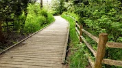 Clark Lake Park