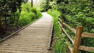 Clark Lake Park - photo 1