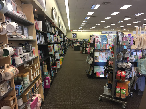 Book Store «Books-A-Million», reviews and photos, 5600 Grandview Pkwy, Davenport, FL 33837, USA