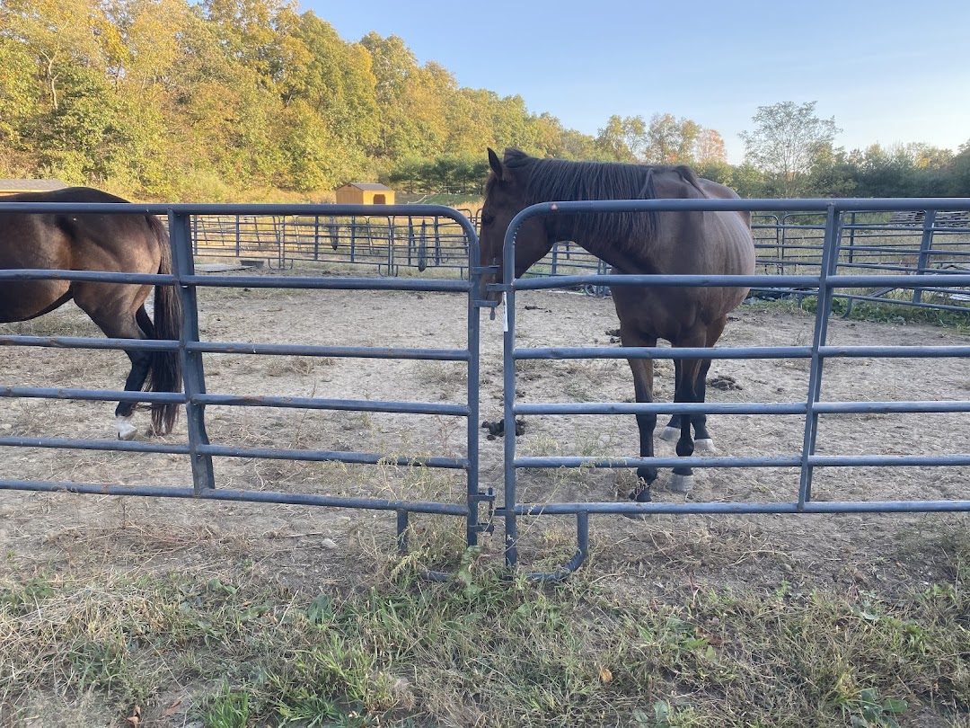 Cloverleaf Farm and Equestrian Center