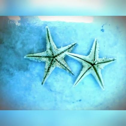 Vidéos Casa vacanza Attico Martina 64010 Colonnella