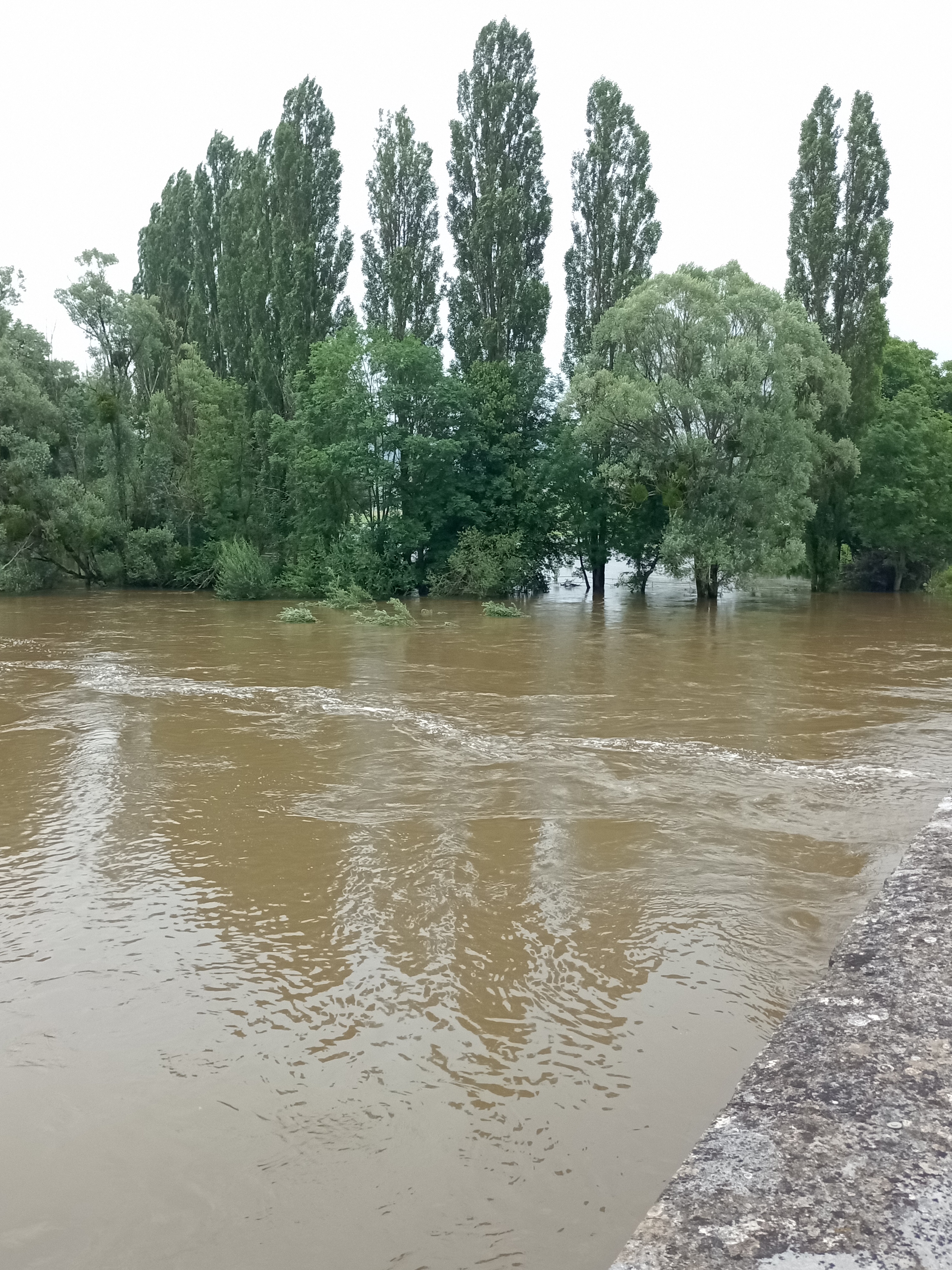 Photo n° 3 de l'avis de Thierry. fait le 17/07/2021 à 13:25