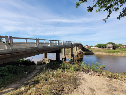 Puente del Rio Negro