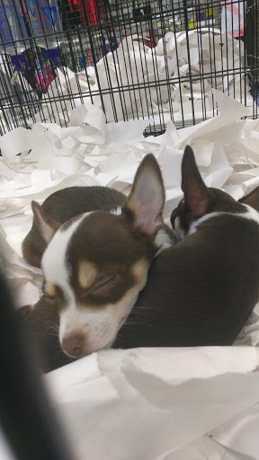 Pet Supply Store «Our Pet World», reviews and photos, 380 Semoran Commerce Pl, Apopka, FL 32703, USA