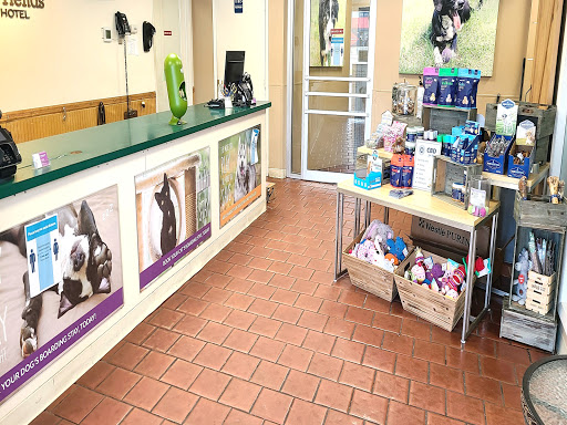 Best Friends Pet Hotel