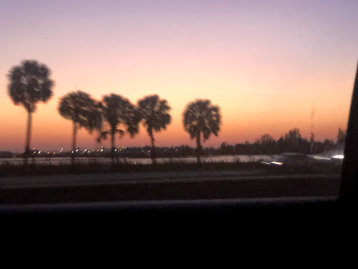 Art Museum «Coral Springs Museum of Art», reviews and photos, 2855 Coral Springs Dr, Coral Springs, FL 33065, USA