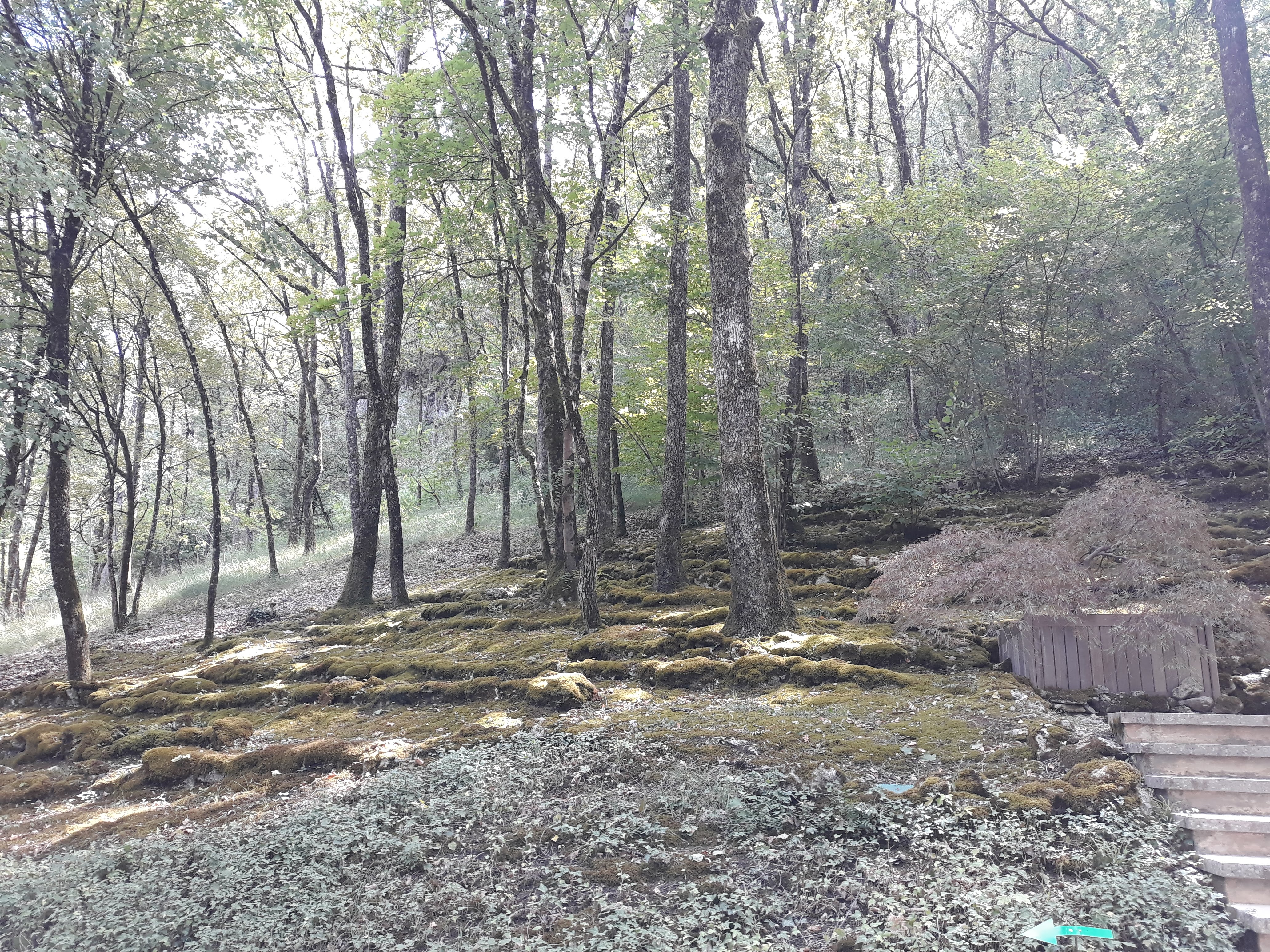 Photo n° 1 de l'avis de Marino.I fait le 08/09/2019 à 19:43