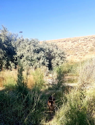 Amphitheater «USANA Amphitheatre», reviews and photos, 5150 S 6055 W, West Valley City, UT 84118, USA