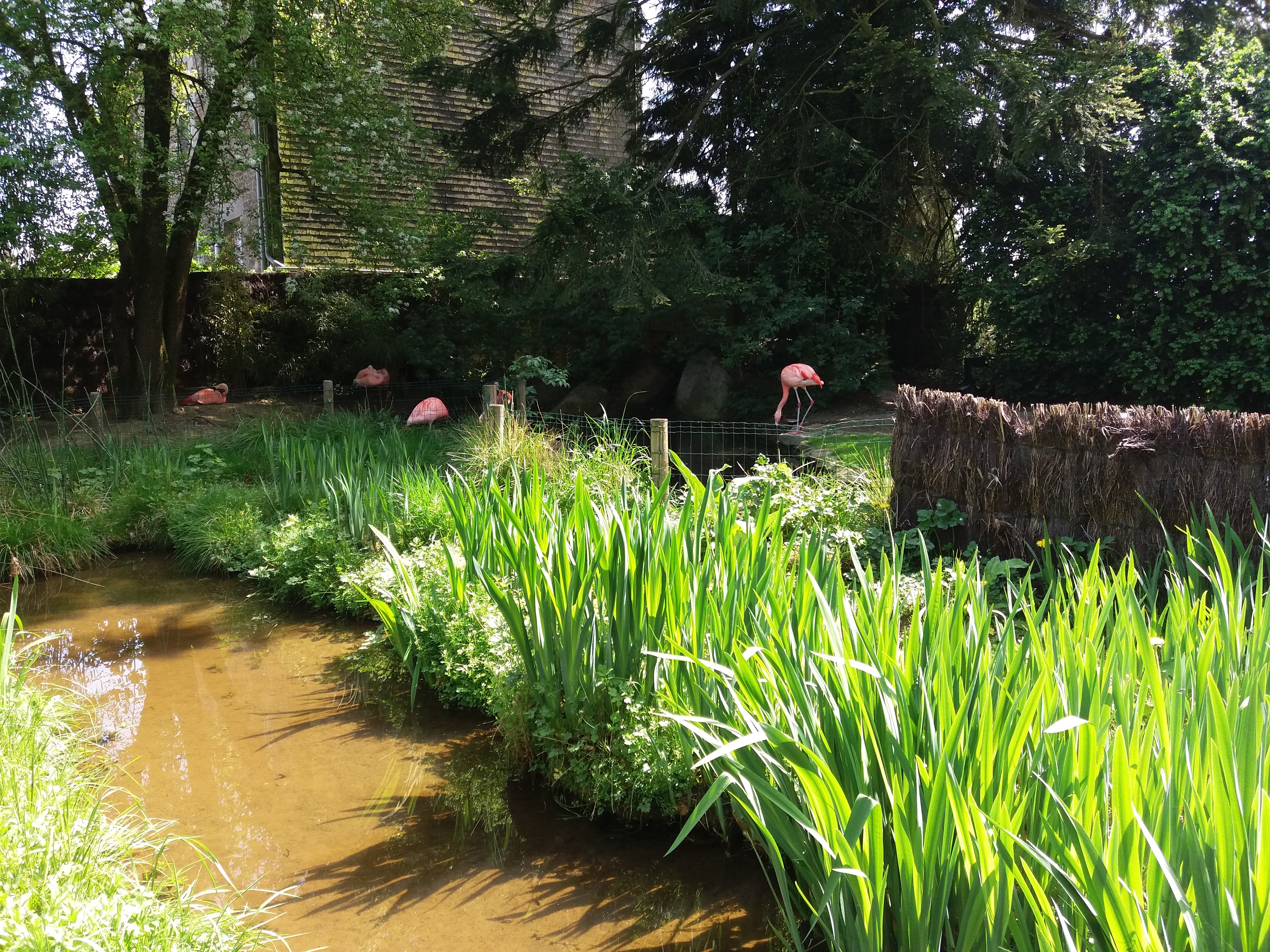 Photo n° 13 de l'avis de Mira.o fait le 22/04/2018 à 15:53