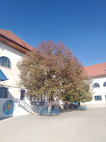Opinii despre Gimnaziala „Avram Iancu” în <nil> - Școală