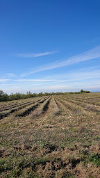 Photo n°6 de all events motors à Vence ()