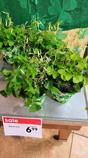 Supermarket «Giant Eagle Supermarket», reviews and photos, 2390 W Prospect Rd, Ashtabula, OH 44004, USA