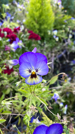 Home Improvement Store «The Home Depot», reviews and photos, 32525 Northwestern Hwy, Farmington Hills, MI 48334, USA