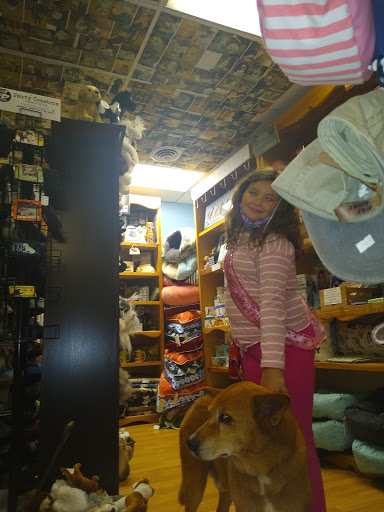 Pet Groomer «Animal House», reviews and photos, 705 Asbury Ave, Ocean City, NJ 08226, USA