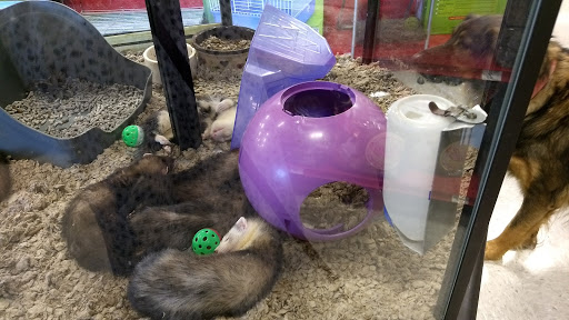 Pet Supply Store «Petco Animal Supplies», reviews and photos, 3731 Gateway Dr, Eau Claire, WI 54701, USA