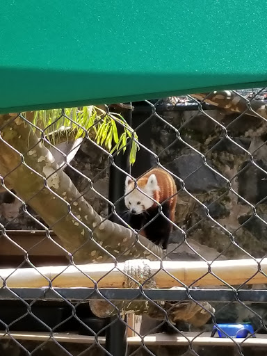 Zoo «Brandywine Zoo», reviews and photos, 1001 N Park Dr, Wilmington, DE 19802, USA