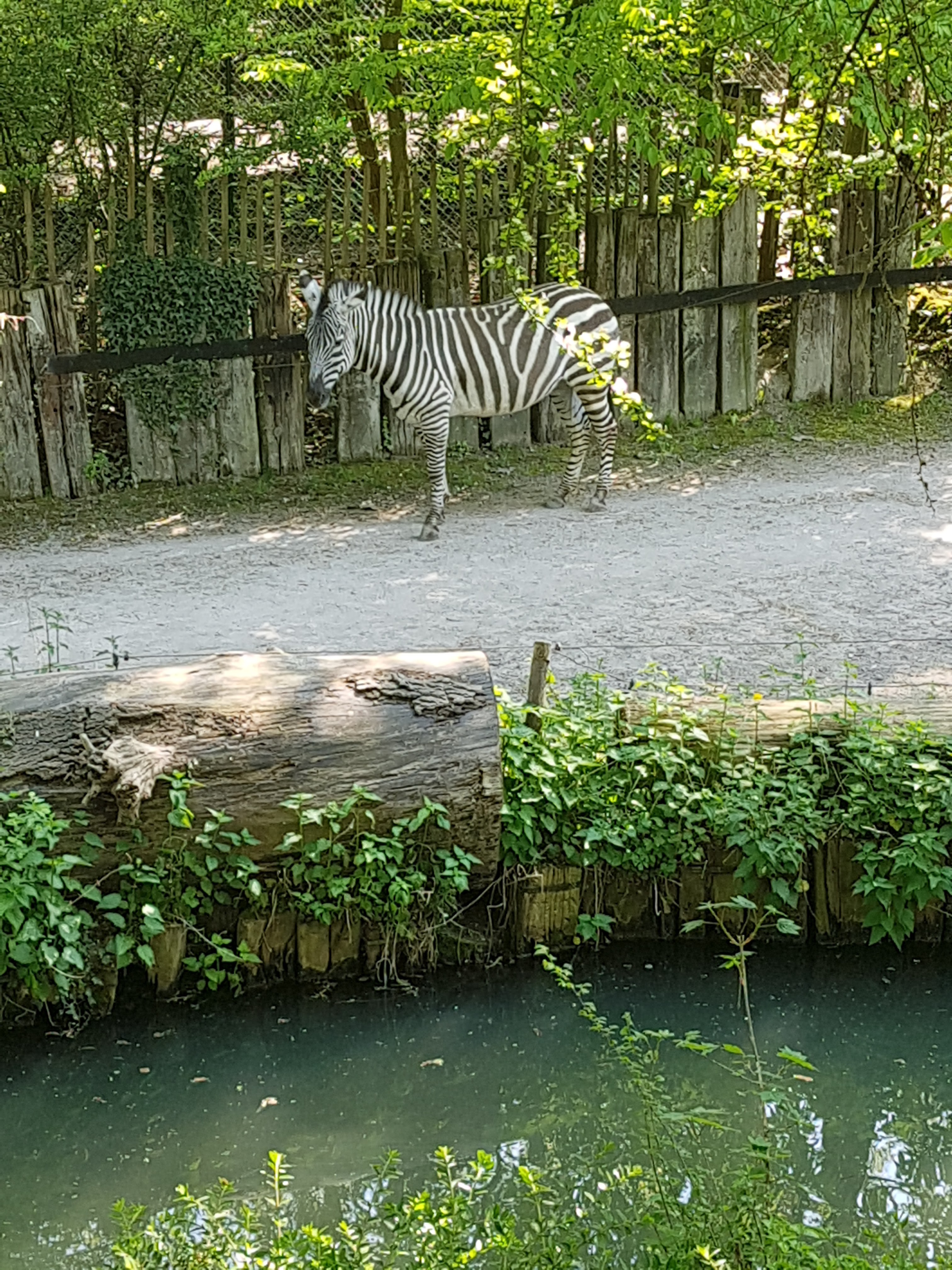 Photo n° 18 de l'avis de Celia.a fait le 30/04/2019 à 08:20