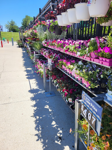 Department Store «Walmart Supercenter», reviews and photos, 2251 IN-54, Linton, IN 47441, USA